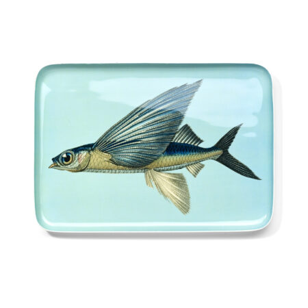 Türkisblaues Tablett mit fliegendem Fisch von Oceanstore Design