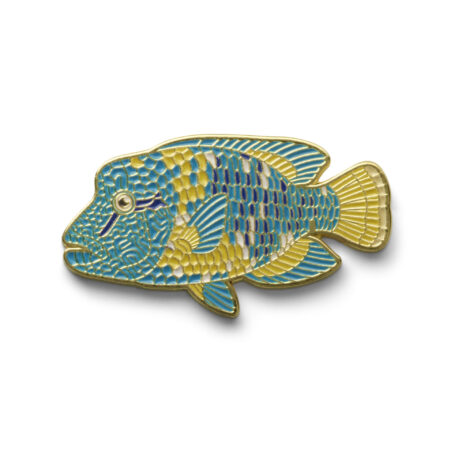 Ocean Pin Collection Napoleon Lippfisch von Oceanstore Design
