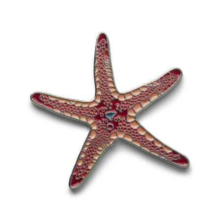 Ocean Pin Collection Gewöhnlicher Seestern von Oceanstore Design