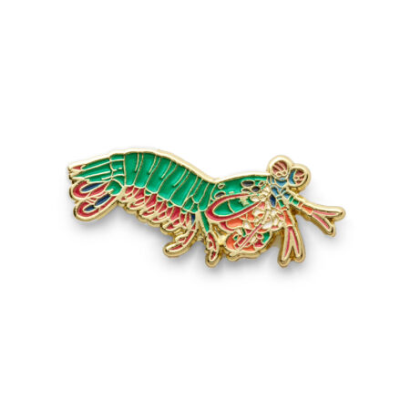 Ocean Pin Collection Fangschreckenkrebs von Oceanstore Design