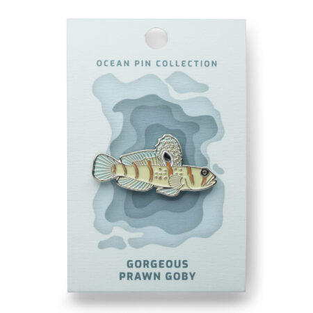 Ocean Pin Collection: Randall's Partner Goby by Oceanstore Design