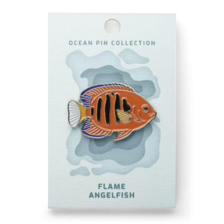 Ocean Pin Collection Flammen Zwergkaiserfisch von Oceanstore Design