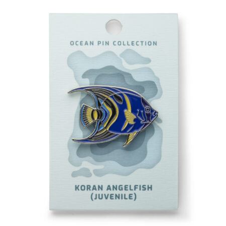 Ocean Pin Collection Koran Angelfish (Juvenile) by Oceanstore Design
