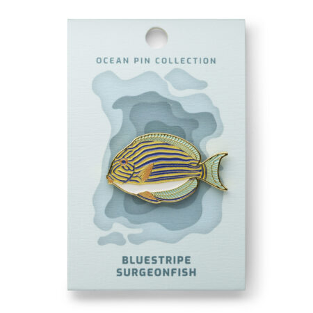 Ocean Pin Collection: Blue-Striped Clownfish by Oceanstore Design