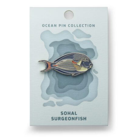 Ocean Pin Collection: Arabian Doctor Fish by Oceanstore Design