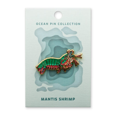 Ocean Pin Collection Fangschreckenkrebs von Oceanstore Design