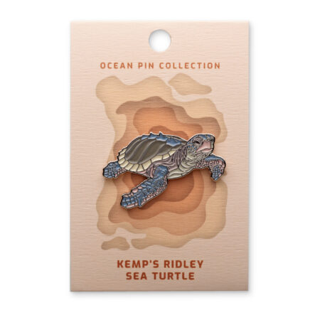 Ocean Pin Collection Atlantik-Bastardschildkröte von Oceanstore Design